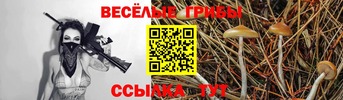 Галлюциногенные грибы ЛСД  Галлюциногенные грибы ЛСД  Хасавюрт  Вход с VPN 